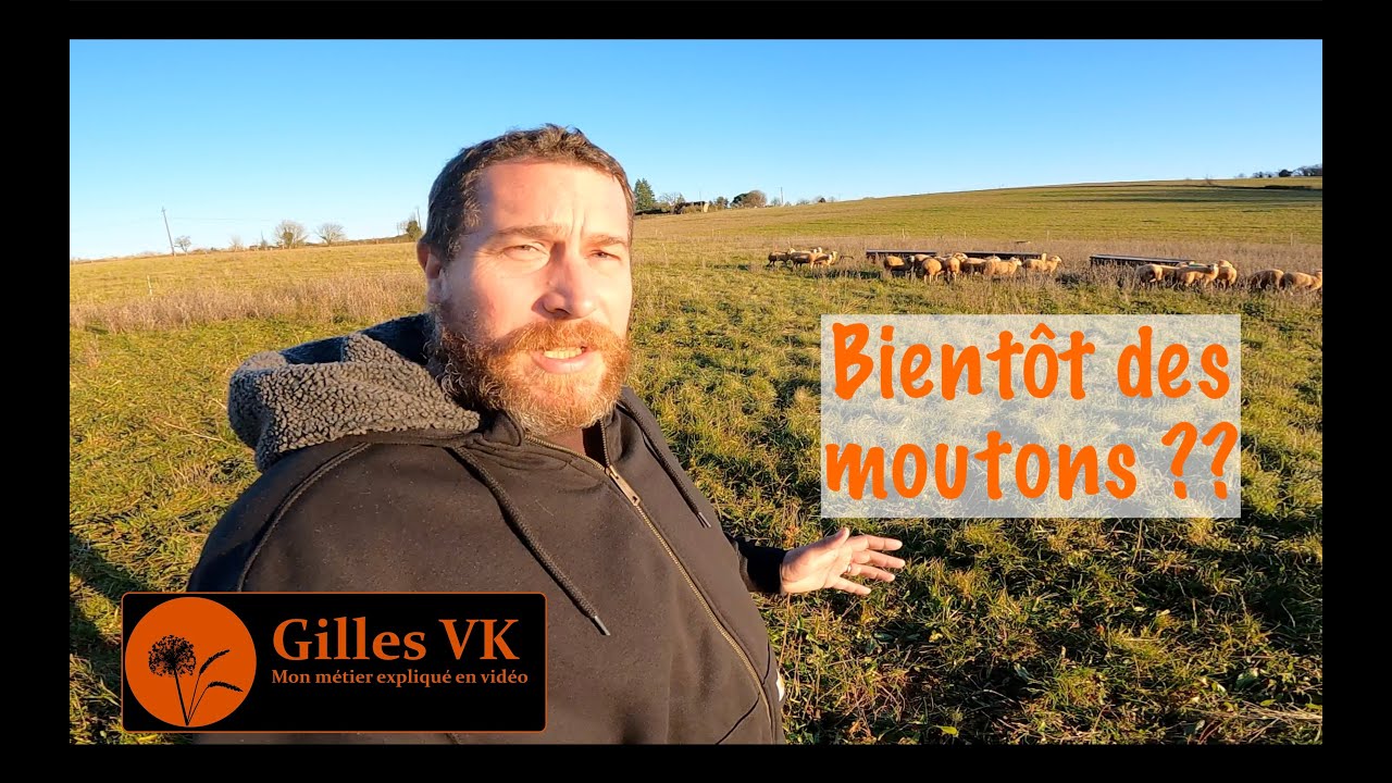 Le retour de l'élevage sur mon exploitation ? Je me forme sur l'élevage de mouton avec André DELPECH