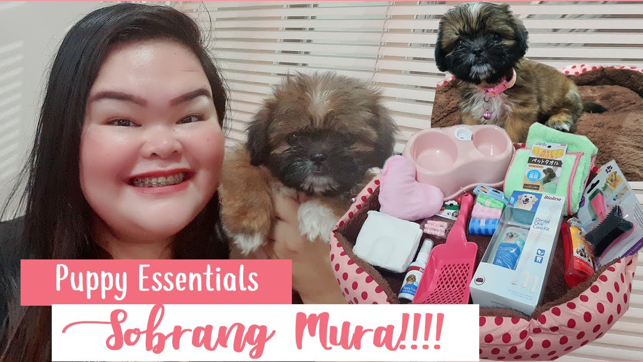 MURANG PUPPY ESSENTIALS HAUL | NEW SHIH TZU PUPPY | MARIE POZZAH