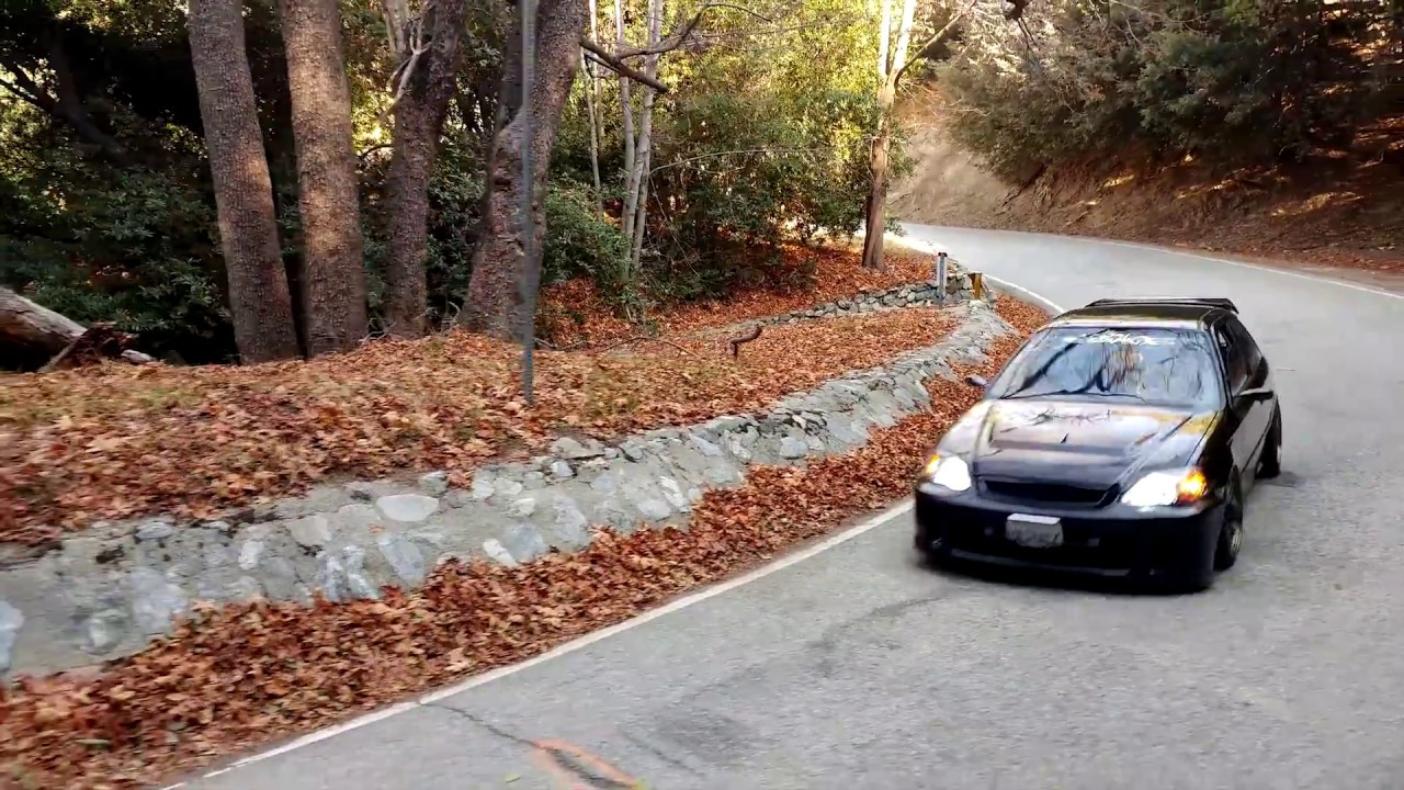 Hasback Black & Khaki Civic EK's - Canyon Run