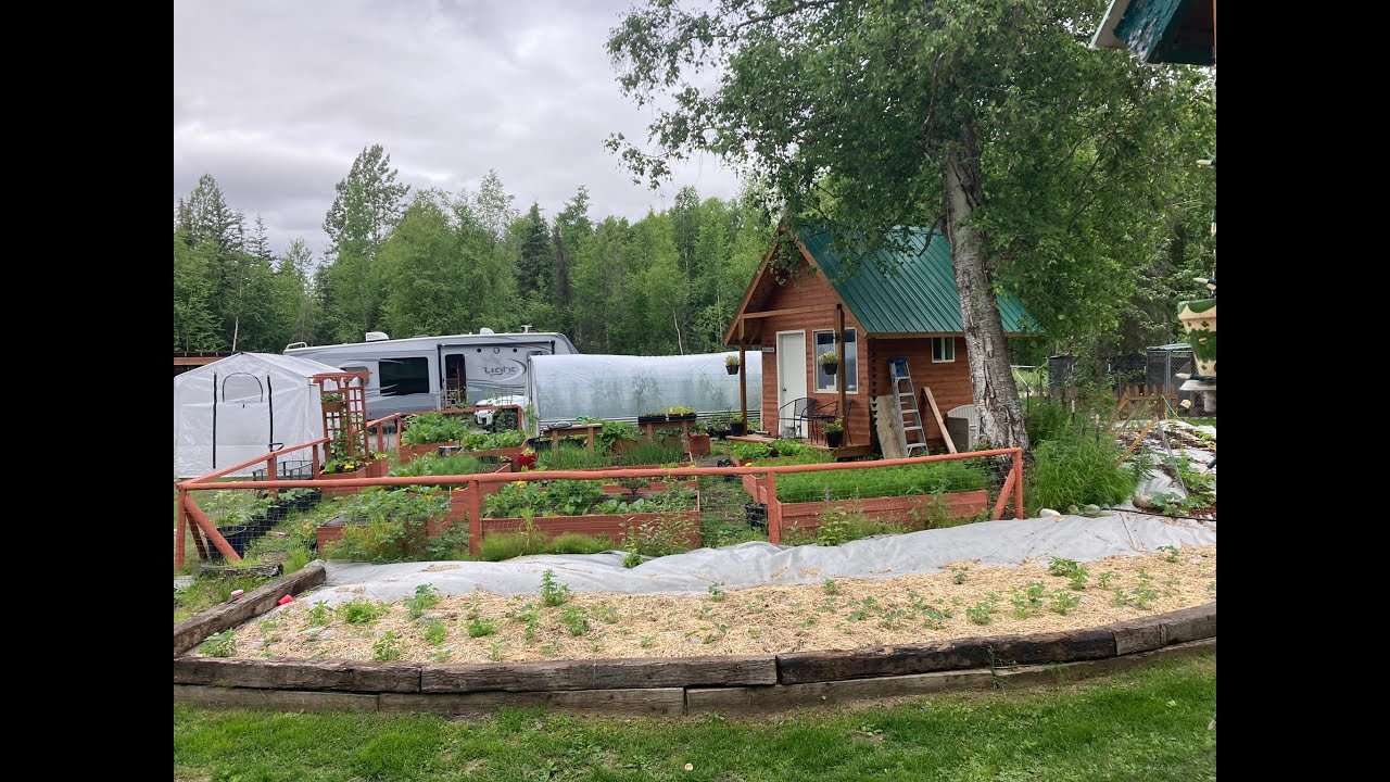 Alaska Homestead Property Tour. Self Reliance on Less Than 2 Acres.