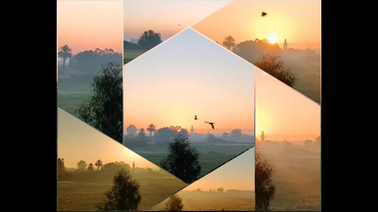صباح الخير و  السعاة☕🎶 😊و استمتعوا بصوت الطبيعة صوت  🐦🐓🦃🐤🐥و غناء الطيور🦆🐌🦋