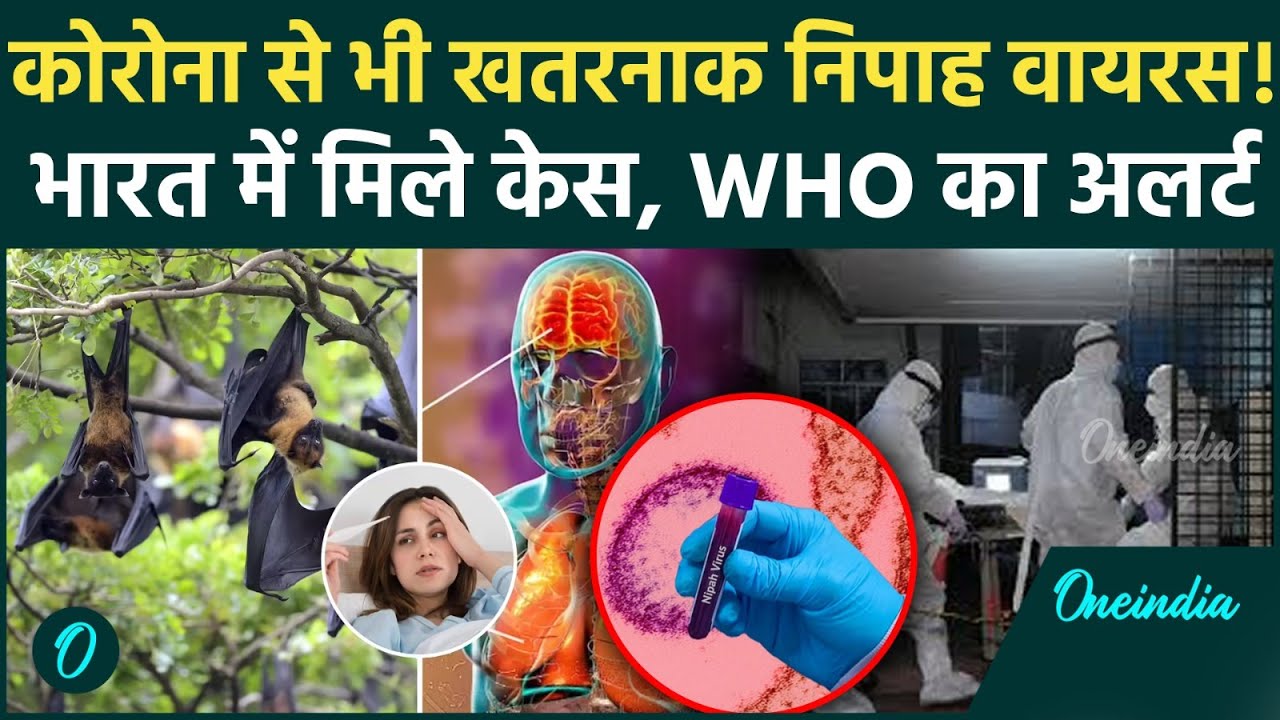 Nipah Virus Emergency BREAKING: निपाह कर देगा तबाह! भारत में मिले ढेरों केस, WHO ने किया Alert जारी