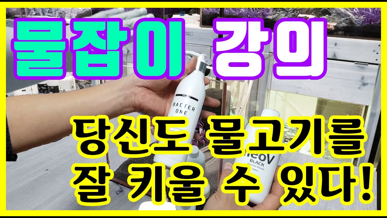 물잡이!! 물고기를 잘 키우는 비법 공개합니다 ㅣ열대어박사ㅣ 열대어 키우기[초보용]