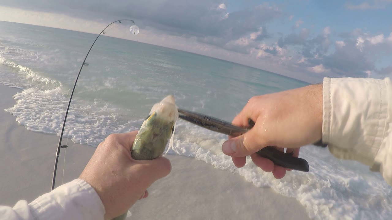 Surf fishing for ladyfish in Destin Florida