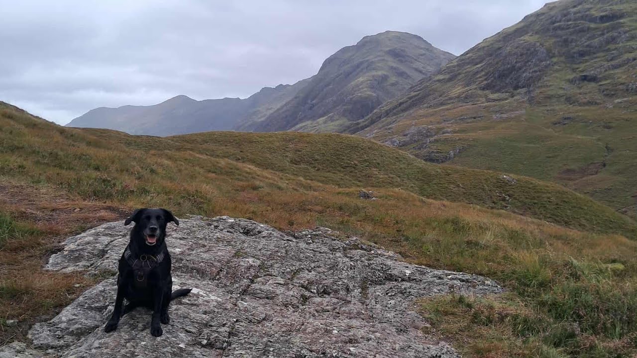 Driving through the famous Glencoe in Scotland and Pepper takes a walk to look at the mountains