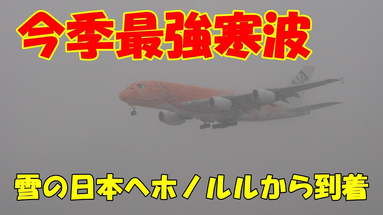 【今季最強寒波の雪の中…常夏ホノルルから帰還！ラーちゃん＆カイくん、おかえり！】2026.02.07 ４K撮影NARITA　Airport 成田空港 A380　雪の日本へホノルルから到着
