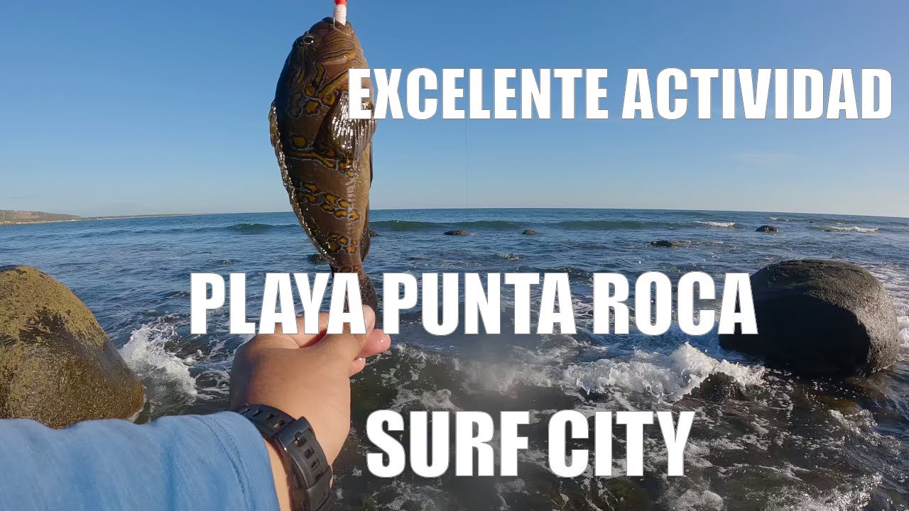 Pesca en Punta Roca | Jornada ultraliviana con muchas capturas ♻️🎣
