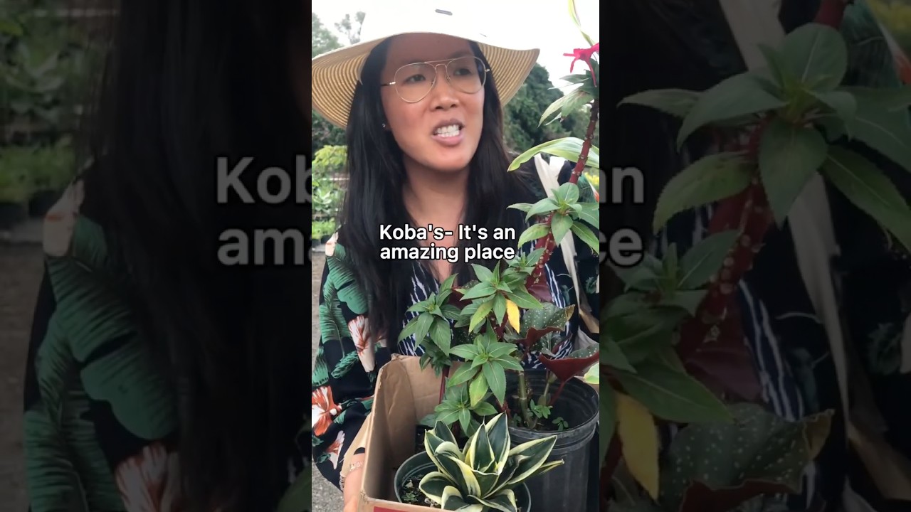 Plant Nursery In Hawaii🌿