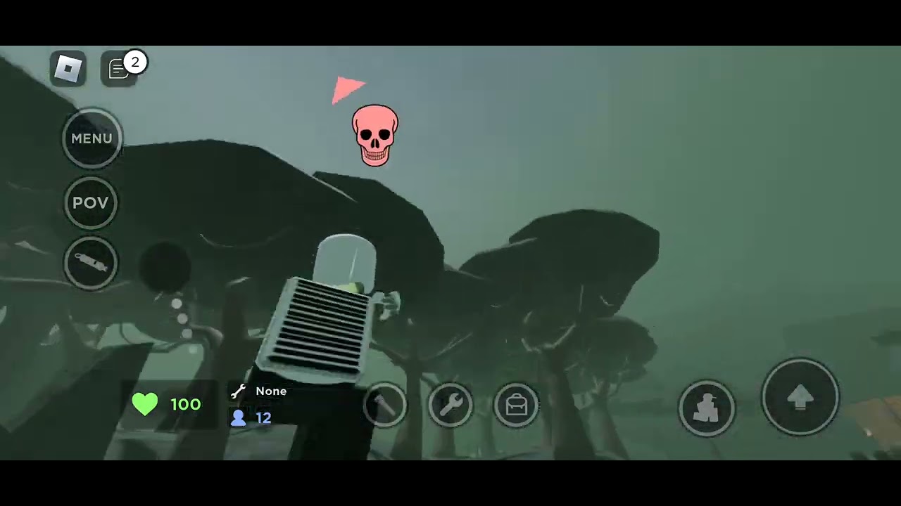 wxf