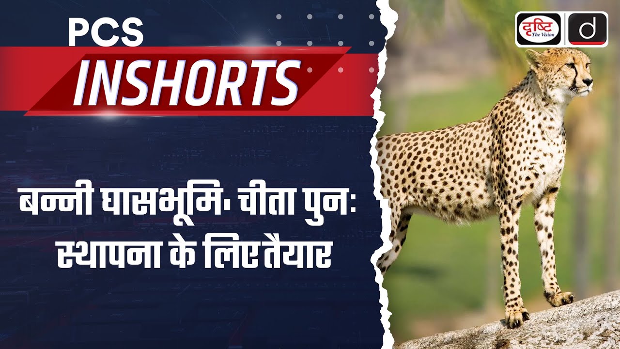 Gujarat's Banni Grasslands Ready for Cheetah Reintroduction | PCS Inshorts | Drishti PCS