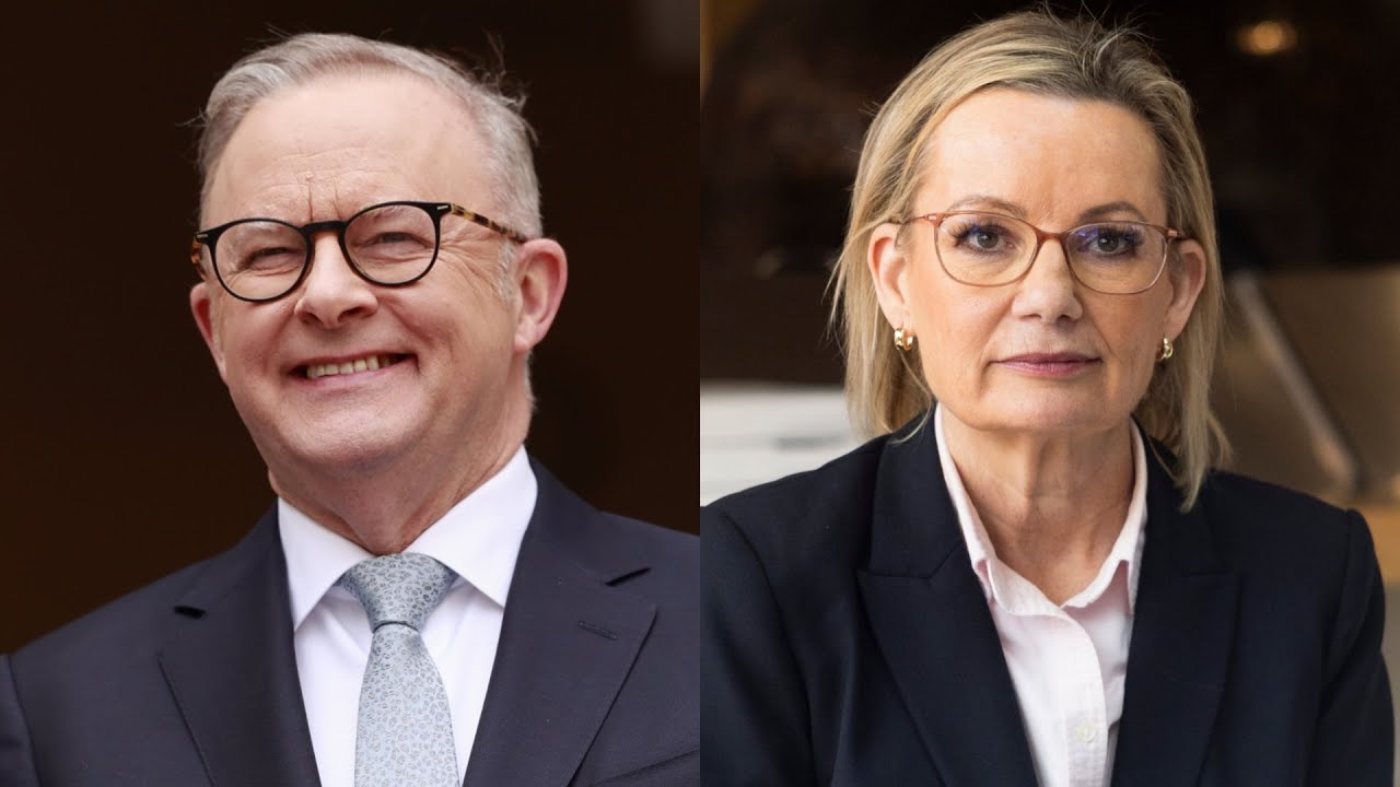 &lsquo;A team Australia moment&rsquo;: Sussan Ley sets out outcomes for Albanese&rsquo;s meeting with Trump