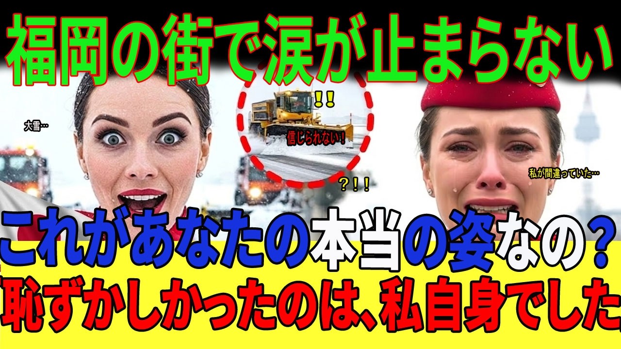 【海外の反応】大雪の緊急着陸でロシア人CAが見た日本の素顔。「なぜ日本人はここまで…？」その光景にただ涙した。