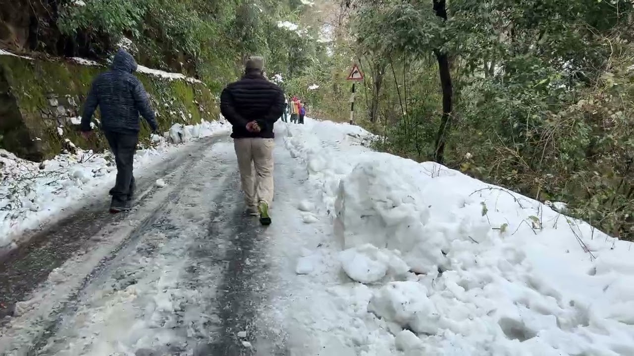 #uttrakhand #ranikhet # Dunagiri #tranding 