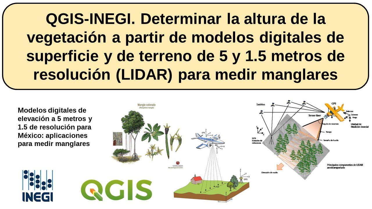 QGIS-INEGI. Determinar altura de la vegetación (manglar) con modelos digitales -superficie y terreno