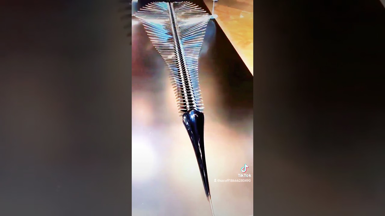 Kinetic energy mechanical sculpture art installation
