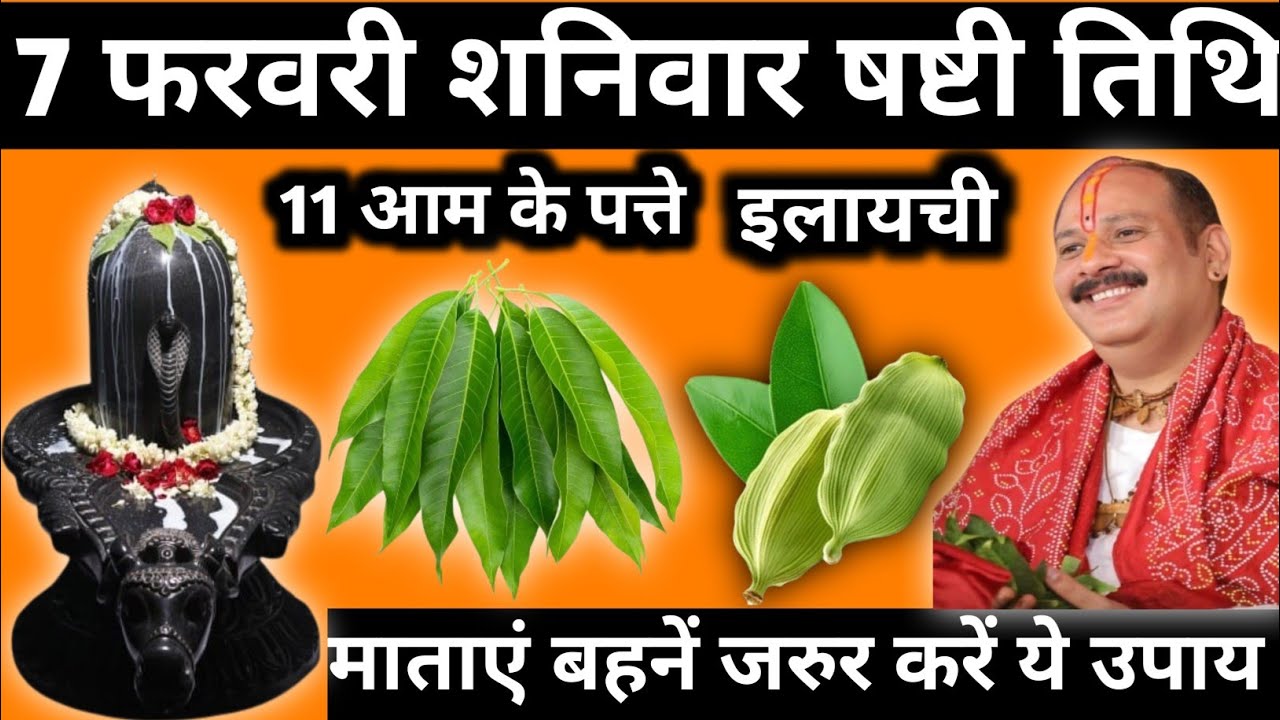 7 फरवरी फाल्गुन शनिवार षष्टी तिथि के दिन 11 आम के पत्ते और इलायची वाला उपाय जरुर करें|| 