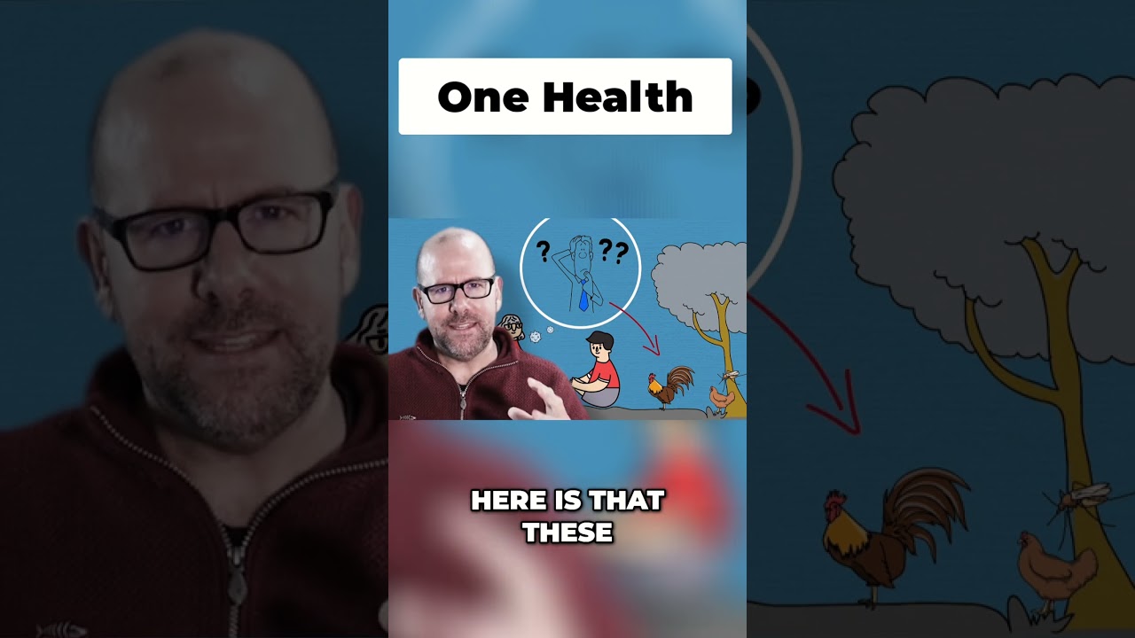 One Health: Why Human, Animal, & Environmental Health Are Linked!