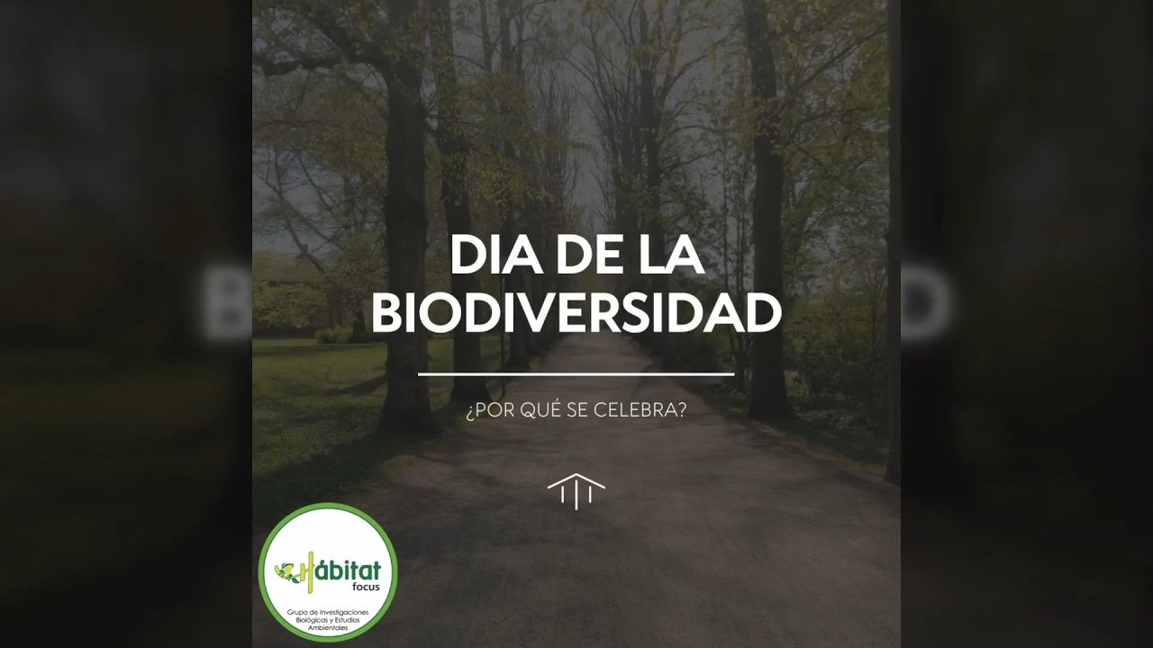 Día Internacional de la Biodiversidad 2024