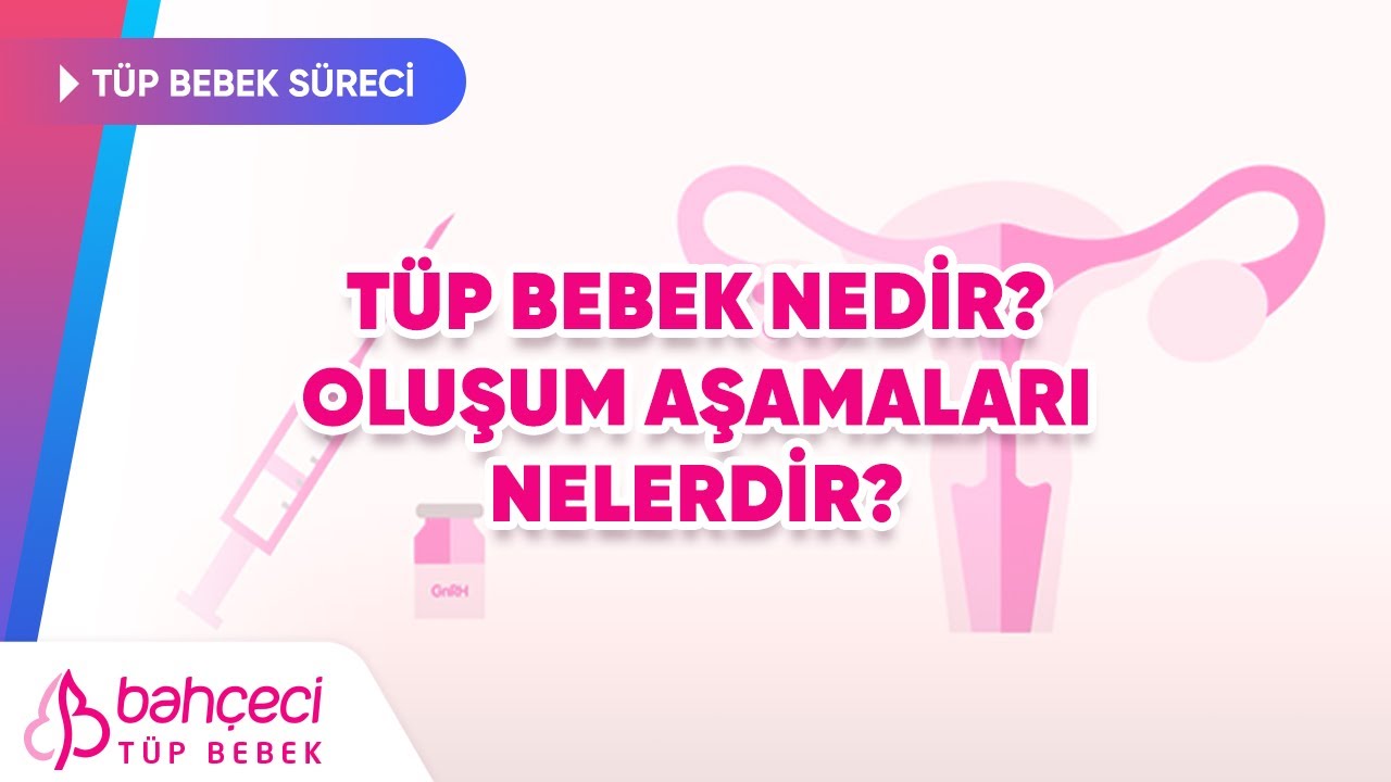 T&uuml;p Bebek Nedir, Oluşum Aşamaları Nelerdir? | Bah&ccedil;eci T&uuml;p Bebek