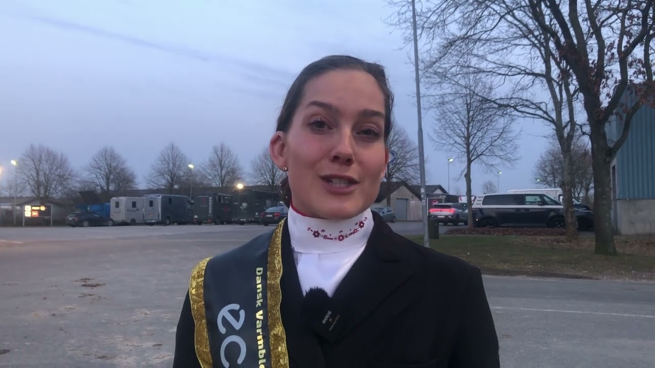 CDI5* ved DV’s Hingstekåring 2026: Cathrine Laudrup-Dufour