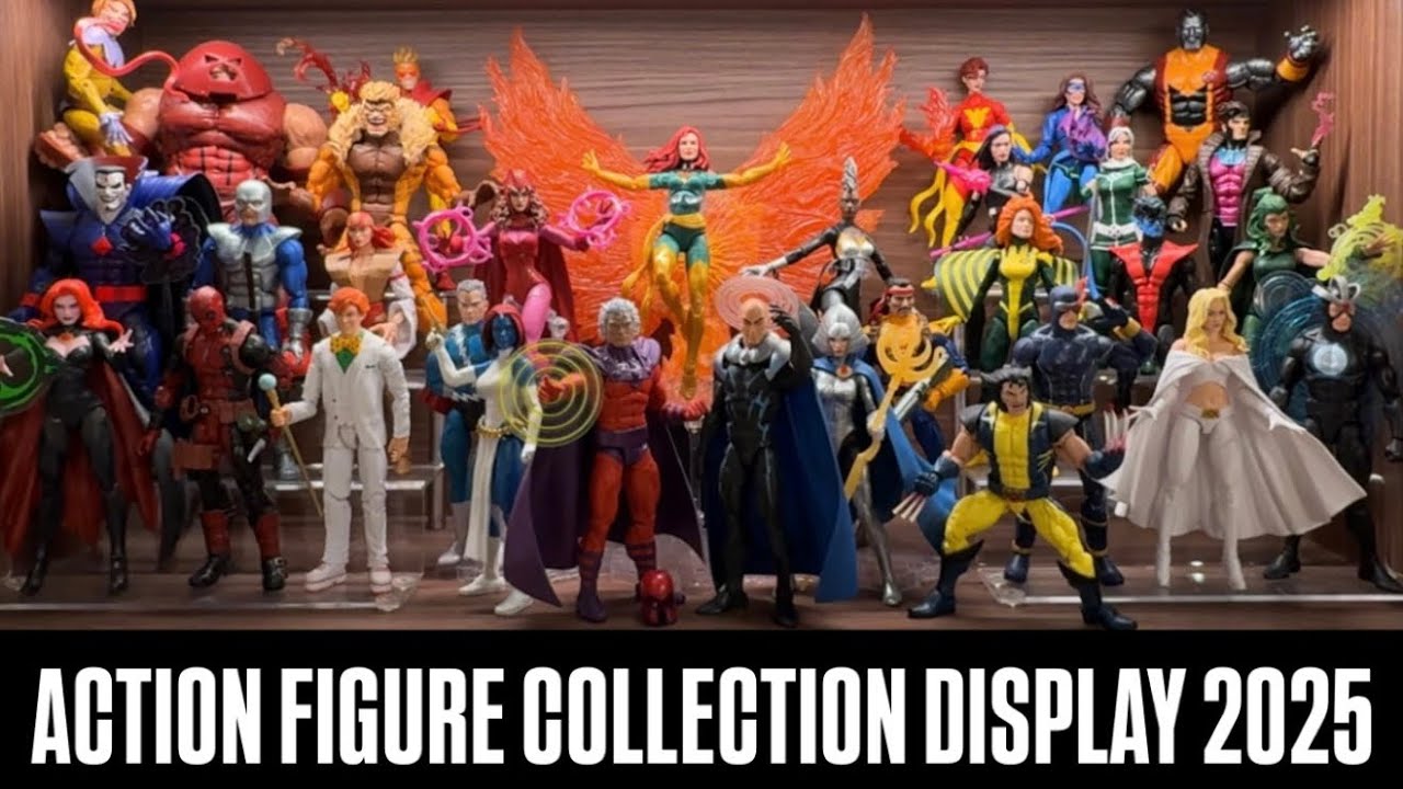 MARVEL LEGENDS / DC COLLECTIBLES Action Figure Display 2025