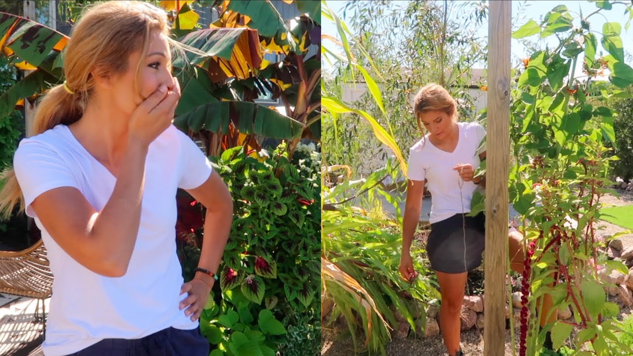 Garden Rescue | Storm Damage | Healing the Garden | Garden Vlog