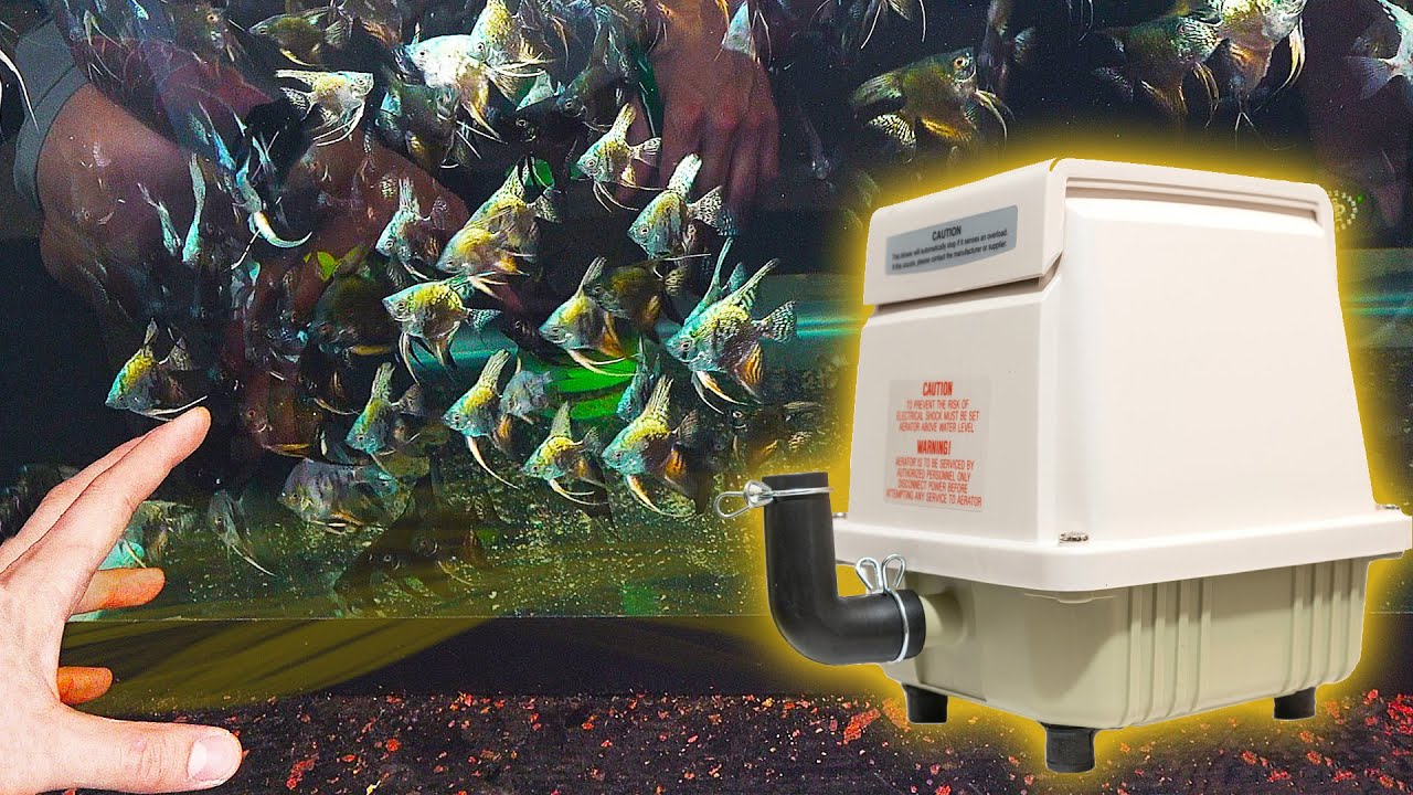 One Air Pump to RULE THEM ALL!