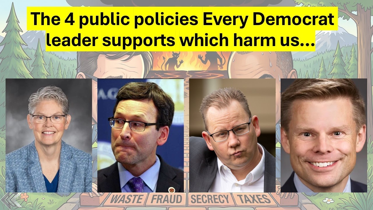 The 4 key Democrat Party leadership priorities in government today.  Now you understand...