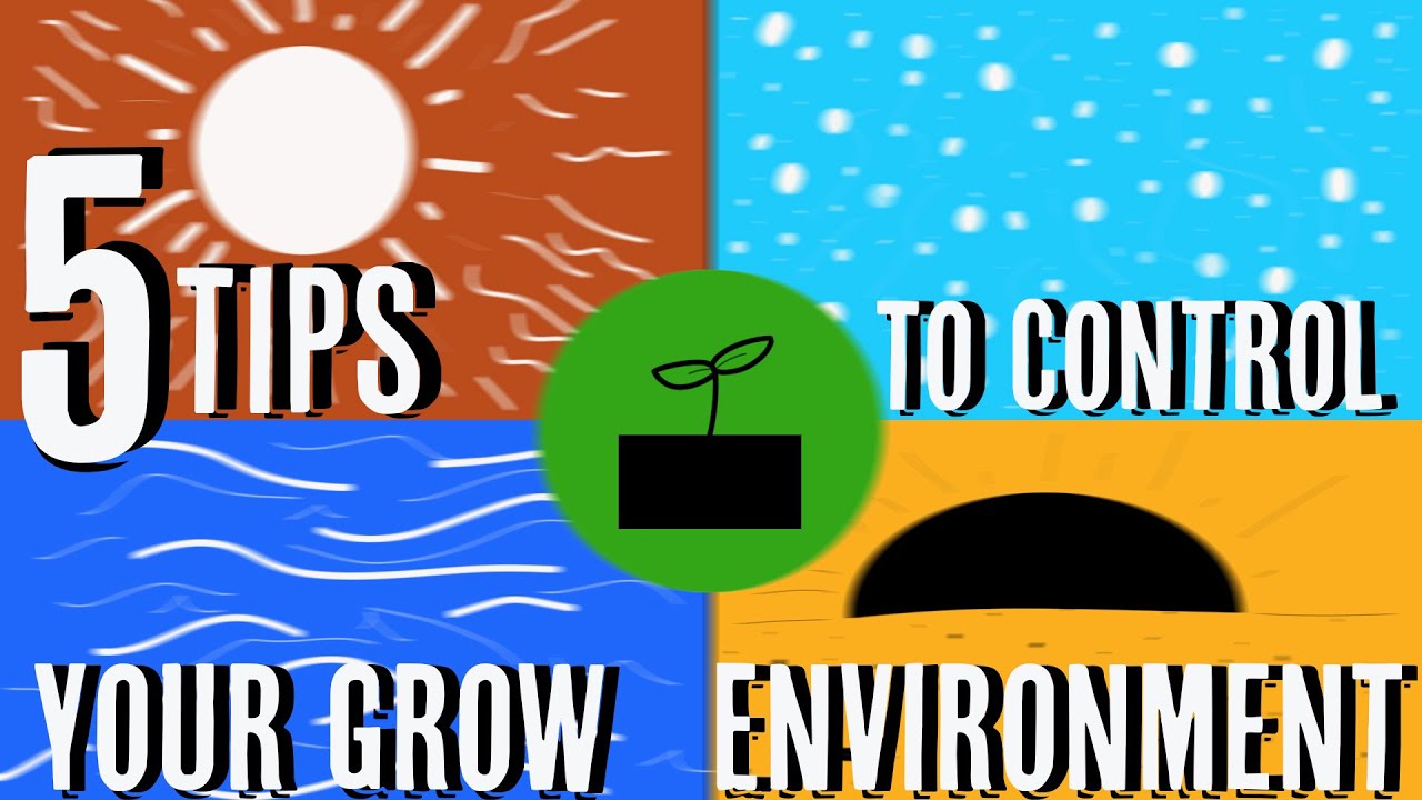 5 Tips To Dial In Your Grow Environment