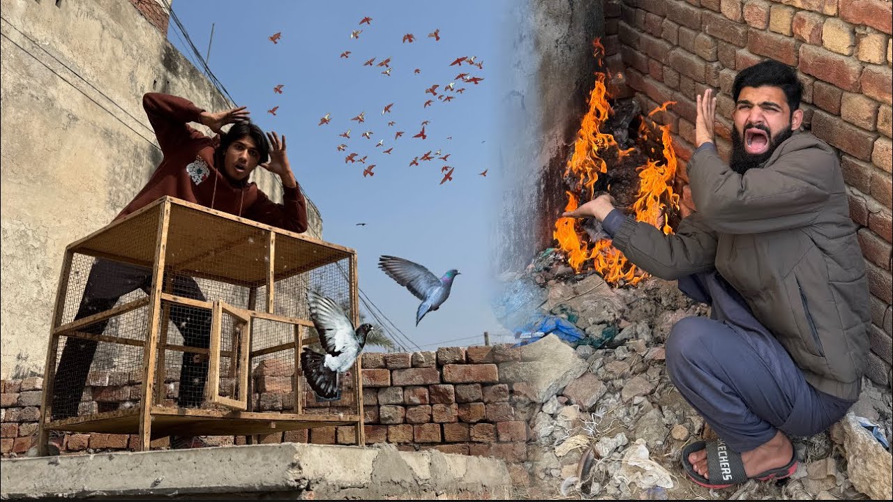Bazi walay Kabootar bahir nikal diay || Setup per Aag lga di 😱