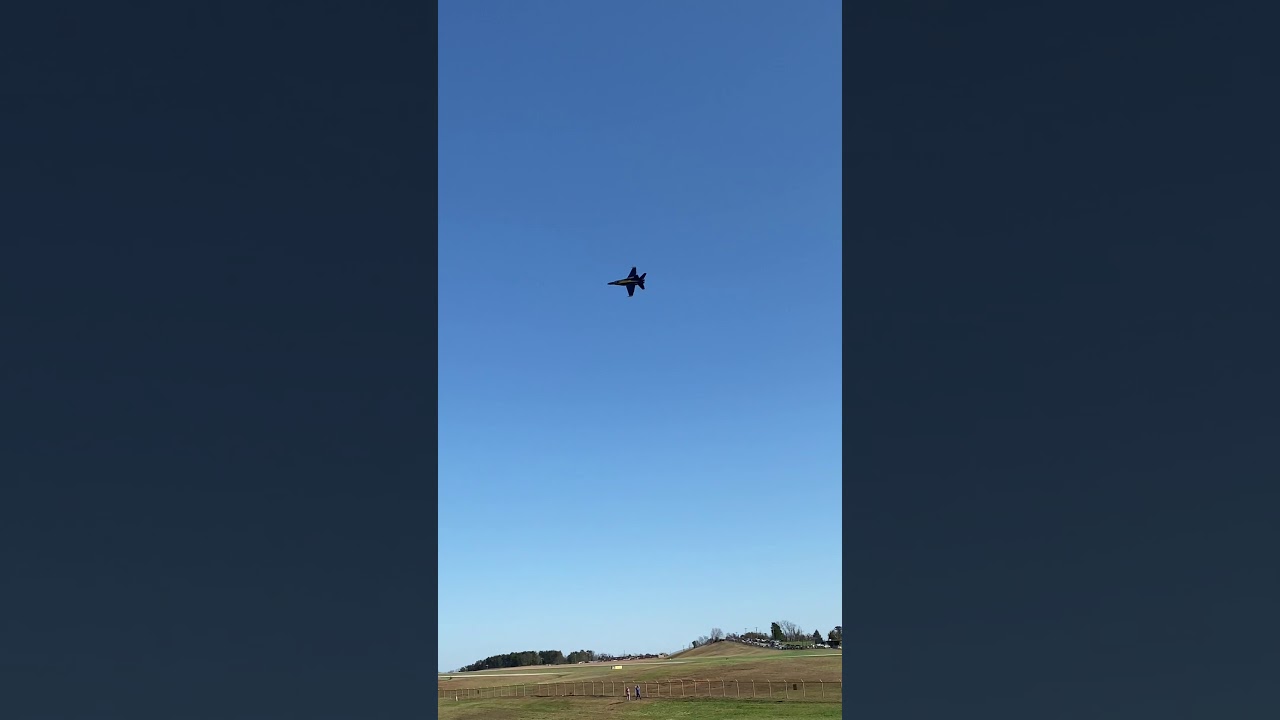 Delivery of Blue Angel #5