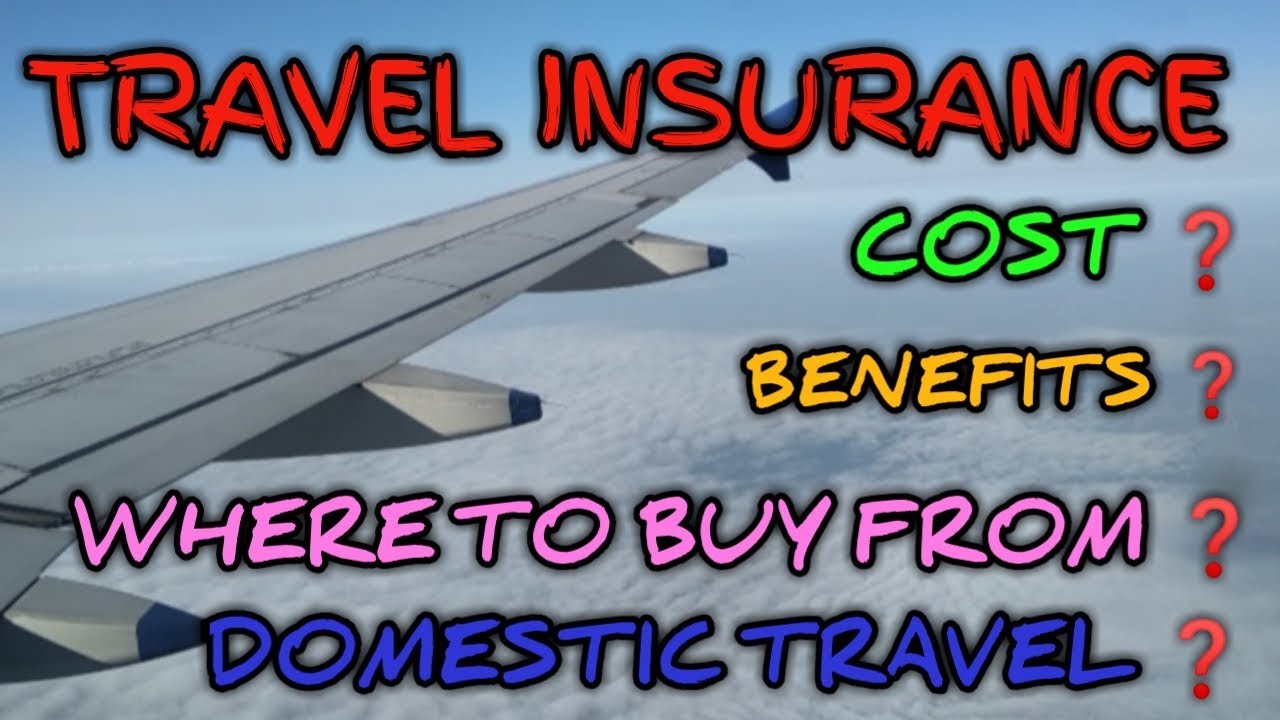 WHAT IS TRAVEL INSURANCE? | WHY TAKE DOMESTIC TRAVEL INSURANCE ? | EXPLAINED IN HINDI| INDIA |2I019|