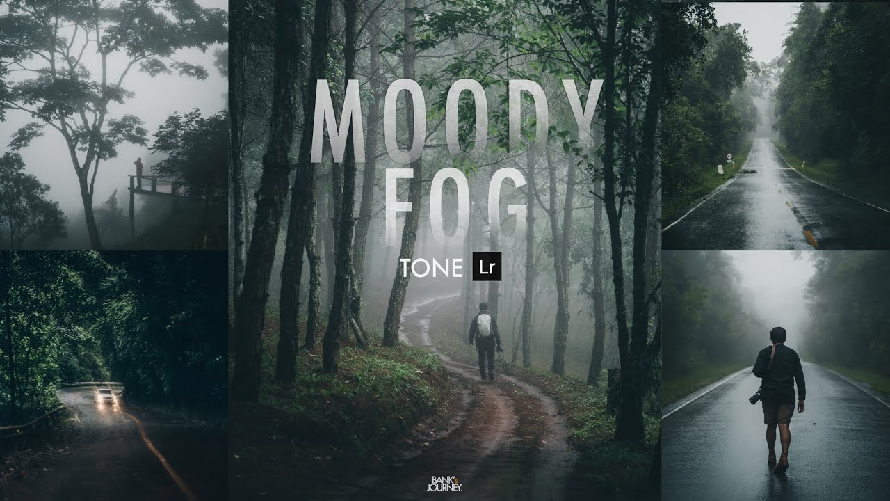 แต่งรูปบนมือถือโทน Moody Fog ไว้ใช้หน้าหนาว และการใช้preset ฟรีบน Lightroom