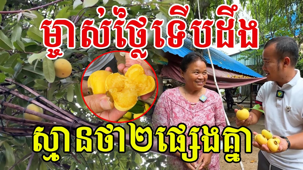 ម្ចាស់ថ្លៃទេីបដឹង​ ស្មានថា២ផ្សេងគ្នា​ ដល់ខែក្រអូបពេញភូមិ