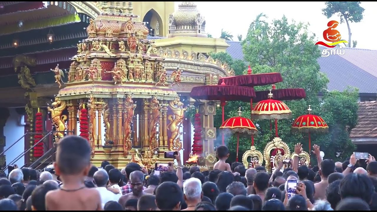 நல்லூர் மஞ்சம் | Nallur Kandaswamy Devasthanam 2023 | Nallur Mancham | Jaffna Nallur Temple  live