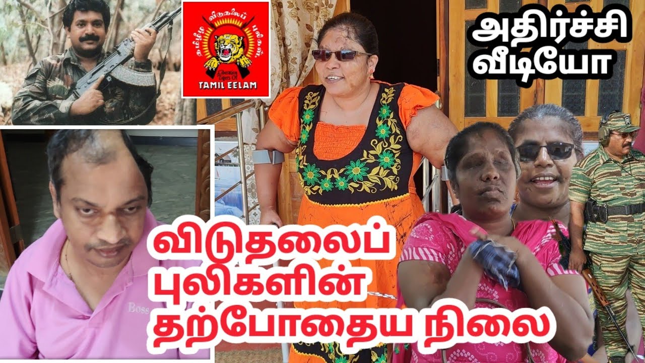 விடுதலை புலிகளின் இப்போதைய நிலை; வெளிவராத காட்சிகள் LTTE Warriors present condition
