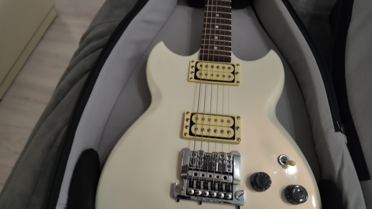 Влог гитариста трибьюта группы 