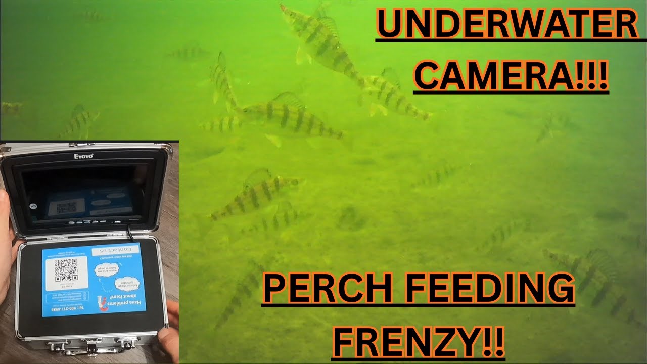 ICE FISHING with new UNDERWATER CAMERA! (UNREAL FOOTAGE)