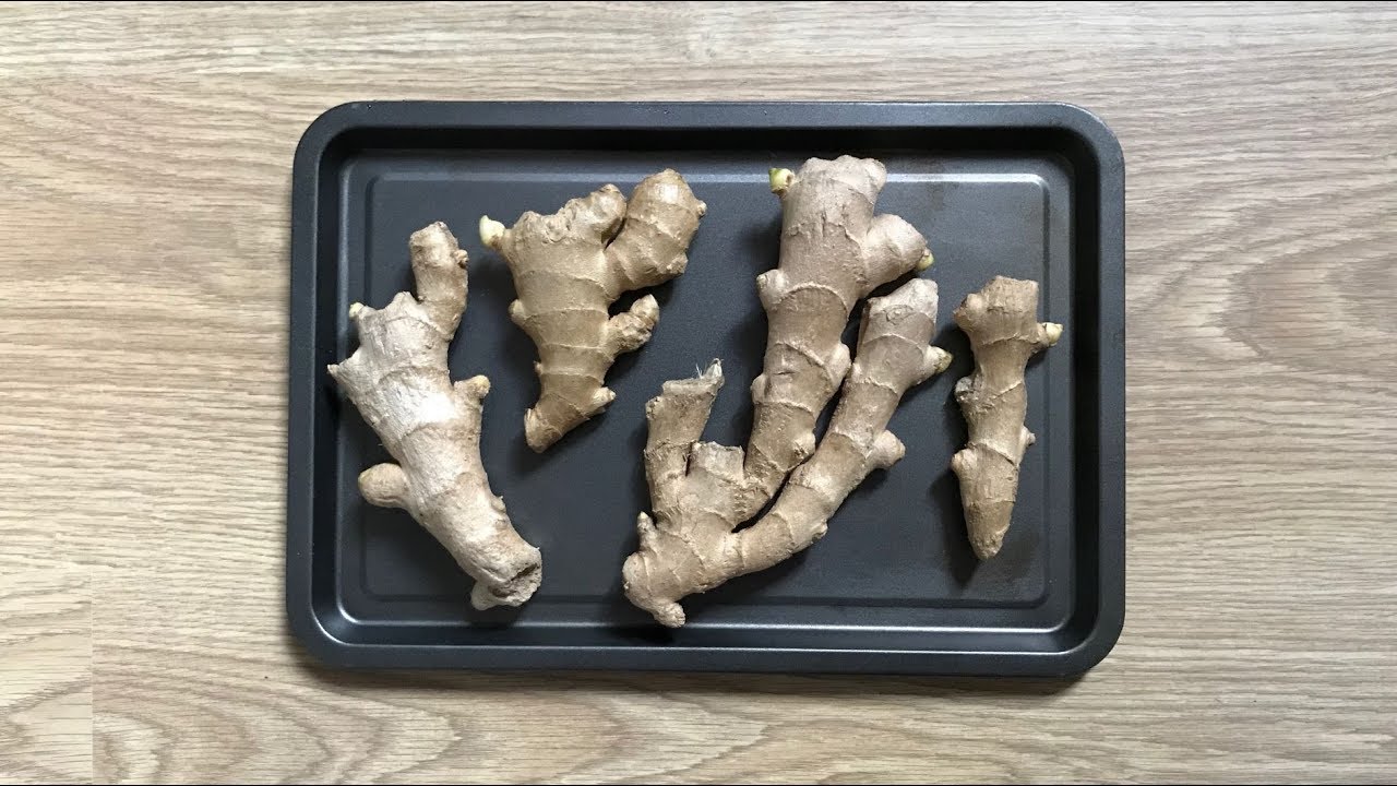 CÓMO CONSERVAR y CONGELAR el JENGIBRE FRESCO ¡Truco de Cocina!