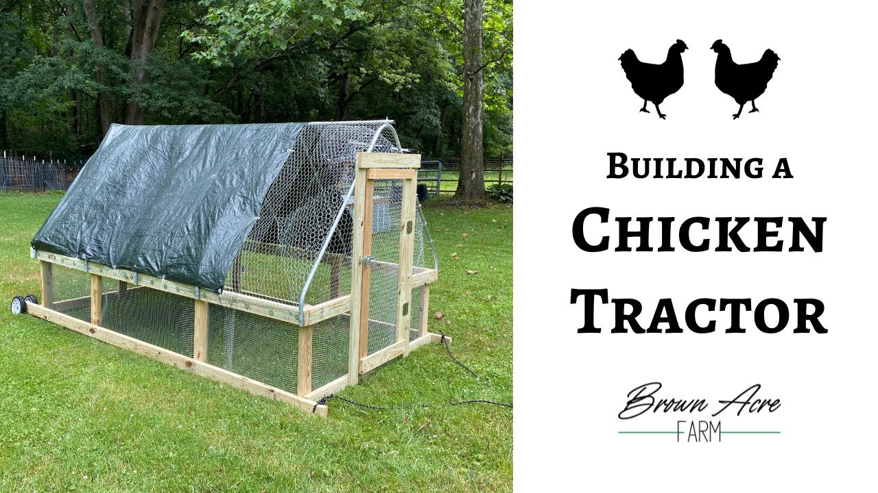 BUILDING A NEW CHICKEN TRACTOR | Raise your own homestead meat birds on pasture