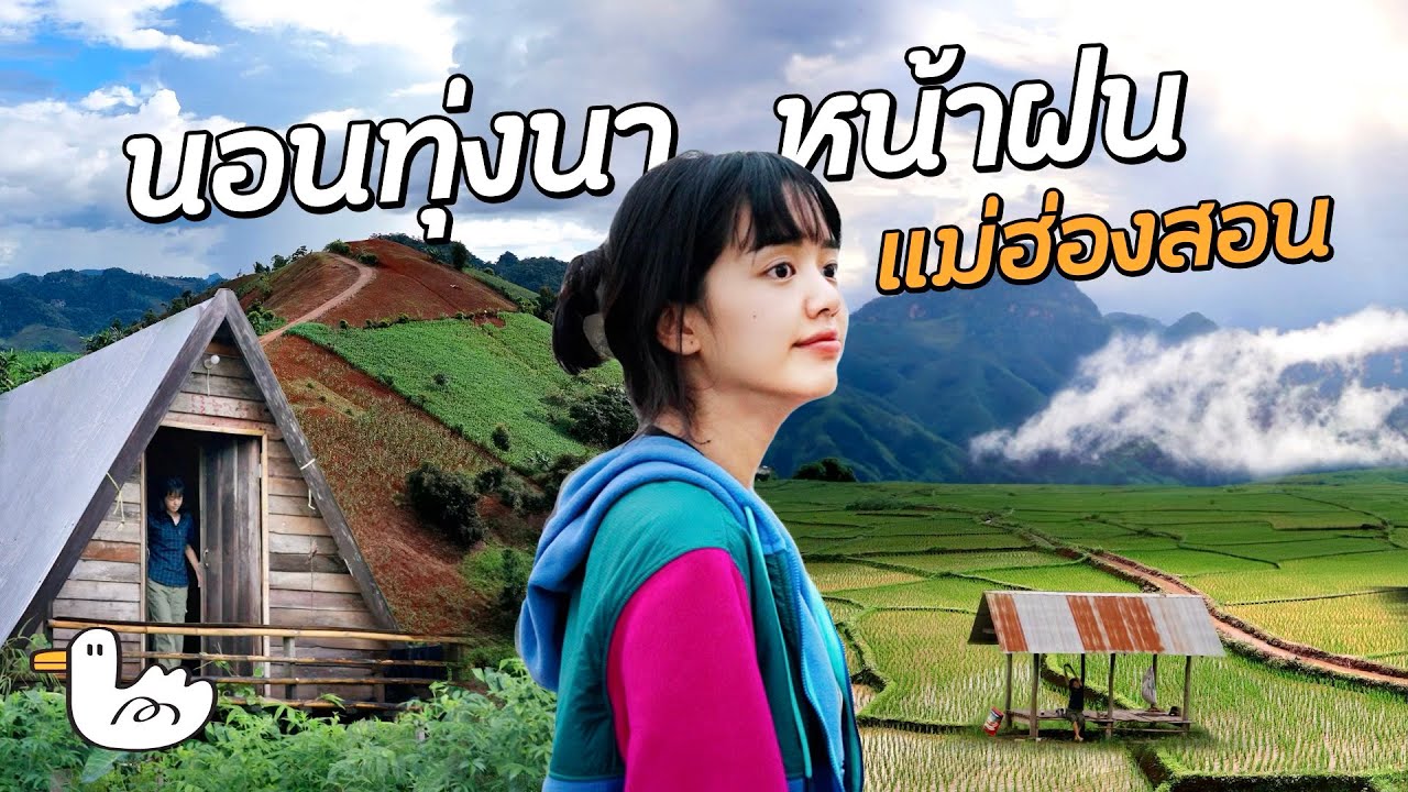 Roadtrip พิชิต 2,224 โค้ง ไปนอนทุ่งนาหน้าฝน l แม่ละนา แม่ฮ่องสอน
