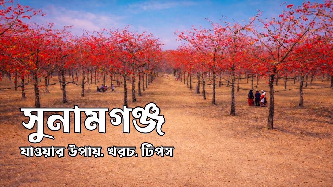 সুনামগঞ্জ ভ্রমণের সবকিছু ২০২৬ 🇧🇩 | শিমুল বাগান | Niladri Lak | Sunamganj Tour