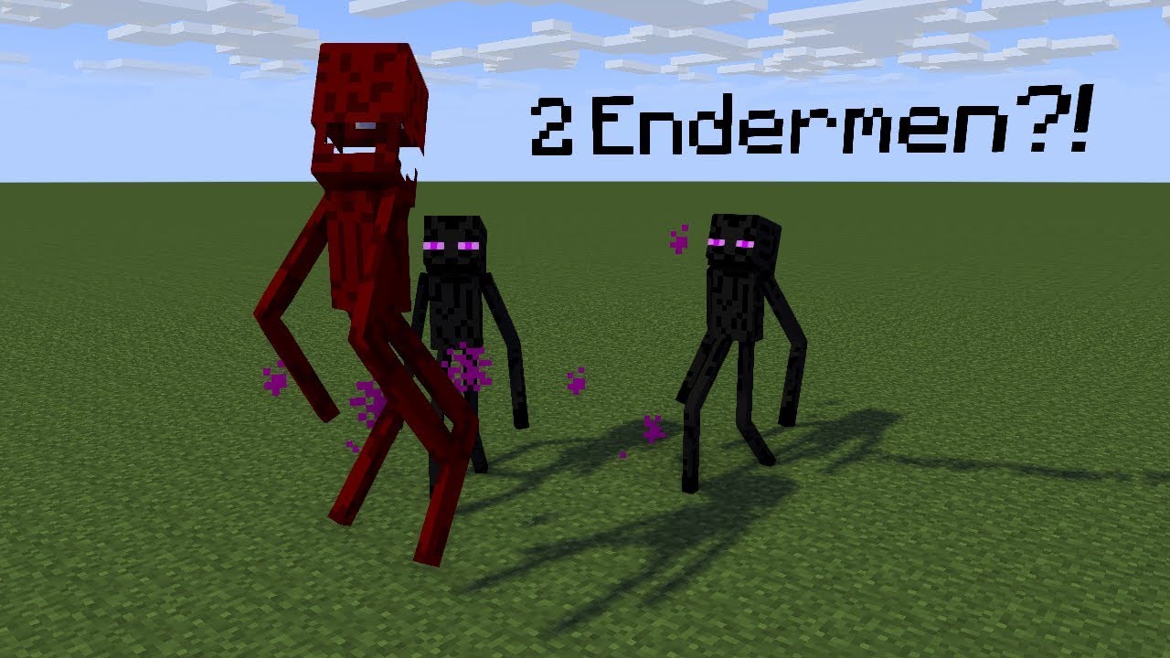 TigerEye35 | Anomaly 666 vs 2x Endermen [Season 1, Episode 81]