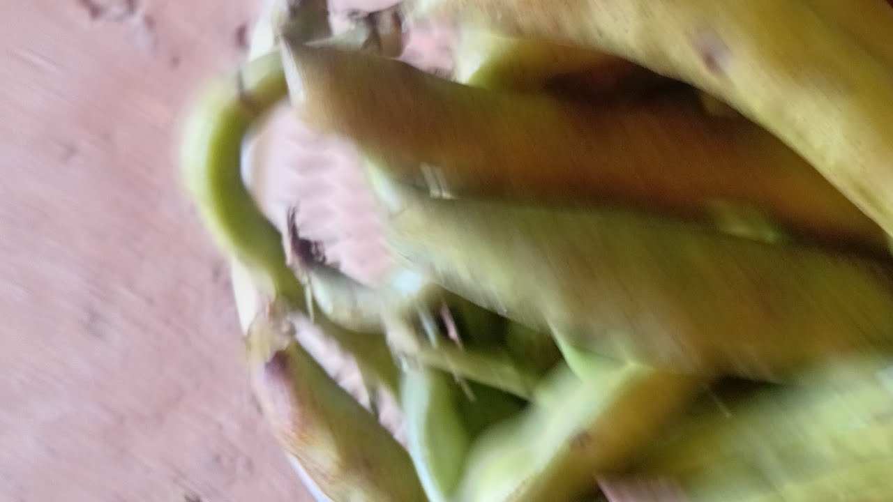 بدأت قناة 