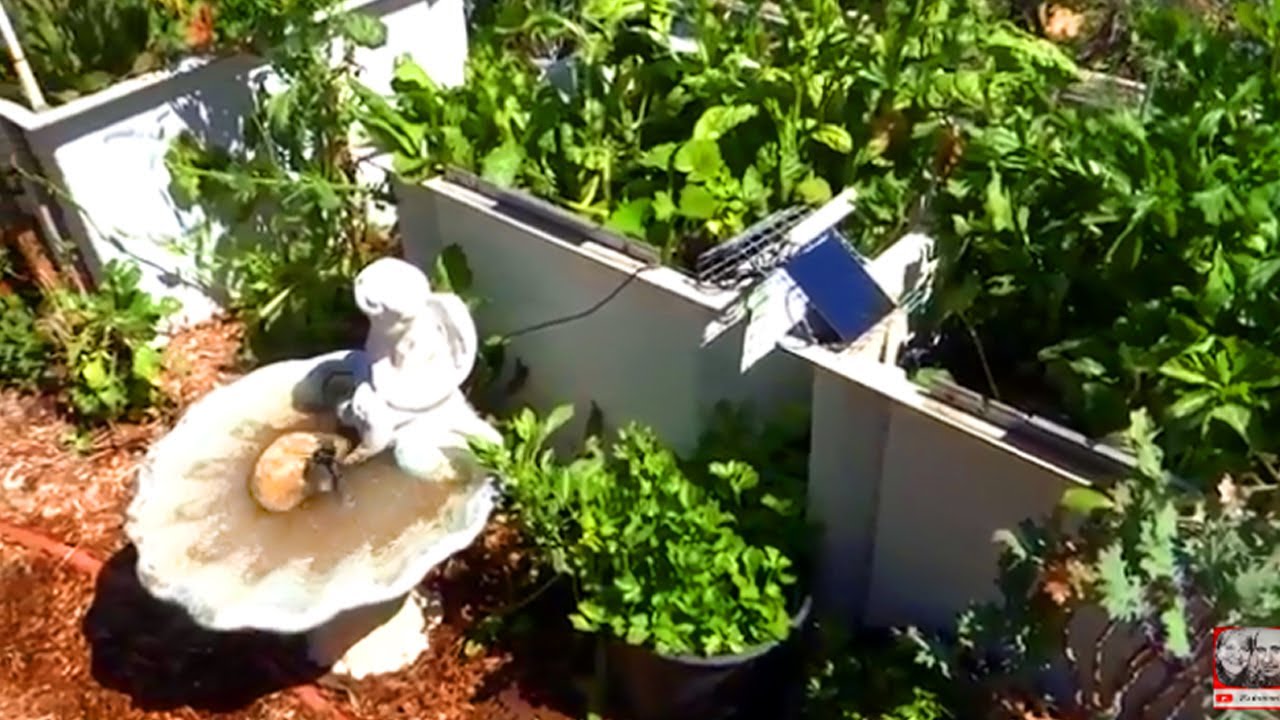 SOLAR POWERED Water Fountain Angel in my Garden Thrift Store Buy Cement Birdbath  Brings in Wildlife