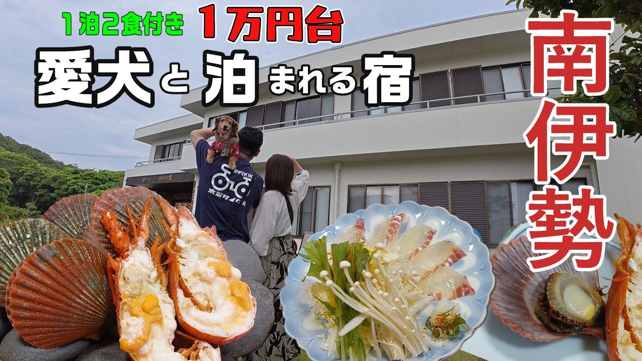 【犬と泊まれる宿 三重】１万円台で鯛づくしにヒオウギ貝のさざれ焼き伊勢海老までついてくる宿/愛犬には散歩道やプライベートビーチまであるよ/ニューはまぐち屋旅館