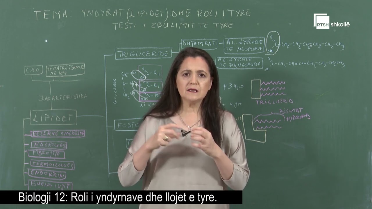 Roli i yndyrnave dhe llojet e tyre| Biologji 12