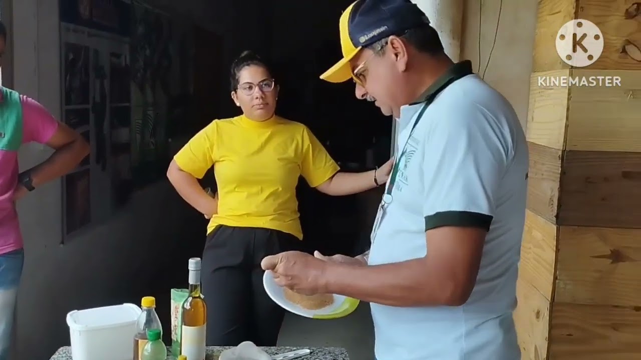 Como fazer bife protéico para abelha apis.