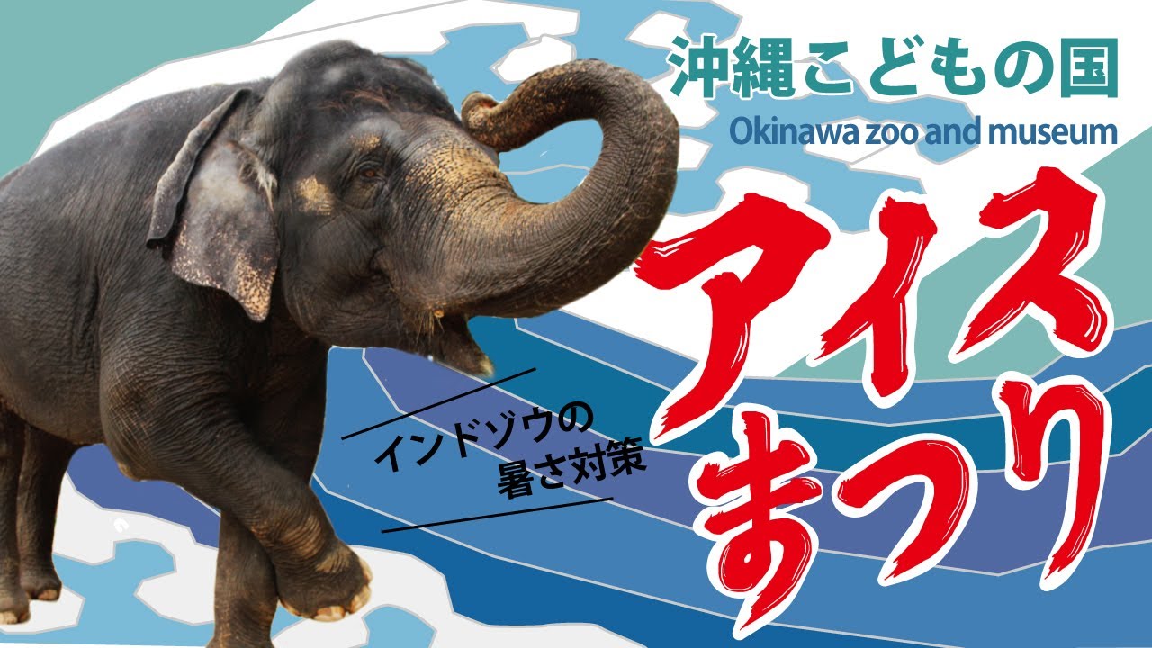 沖縄こどもの国アイスまつり【インドゾウ】
