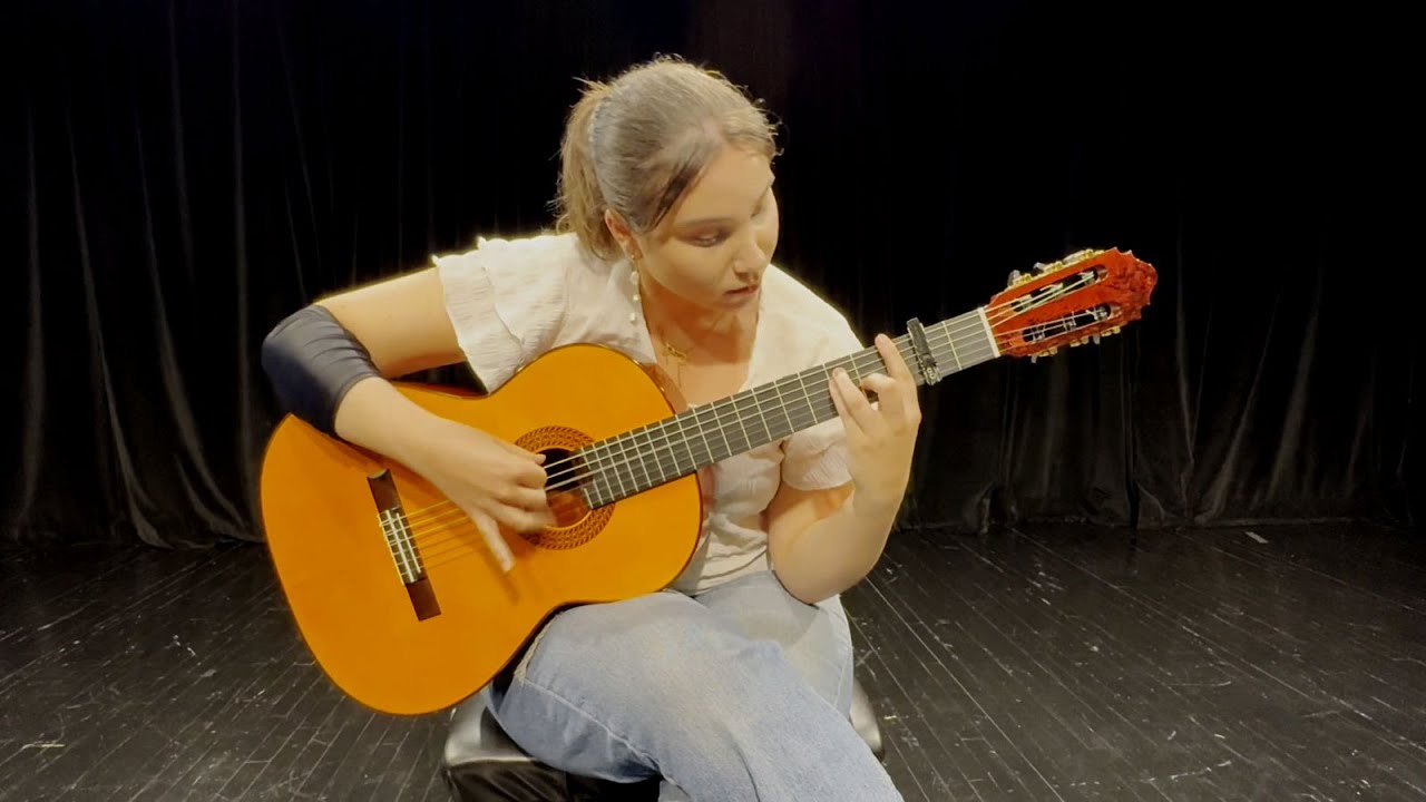 A classical and a flamenco performance Penelope Shvarts